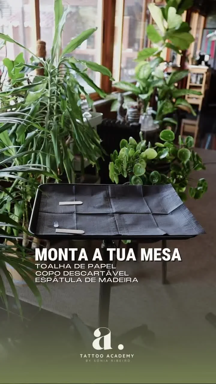 Montagem Mesa Sónia